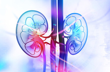 糖尿病性腎症イメージ